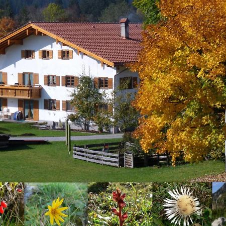 Ferienwohnungen Hennenmuehle Bad Hindelang Exteriér fotografie